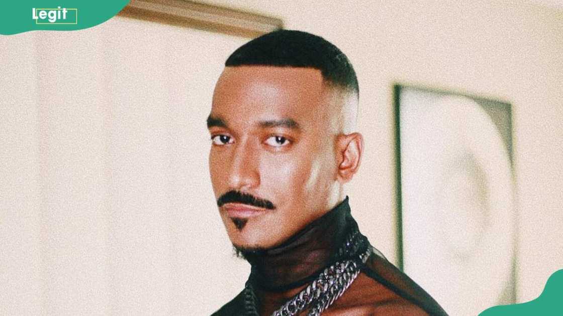 The Moustache The Moustache