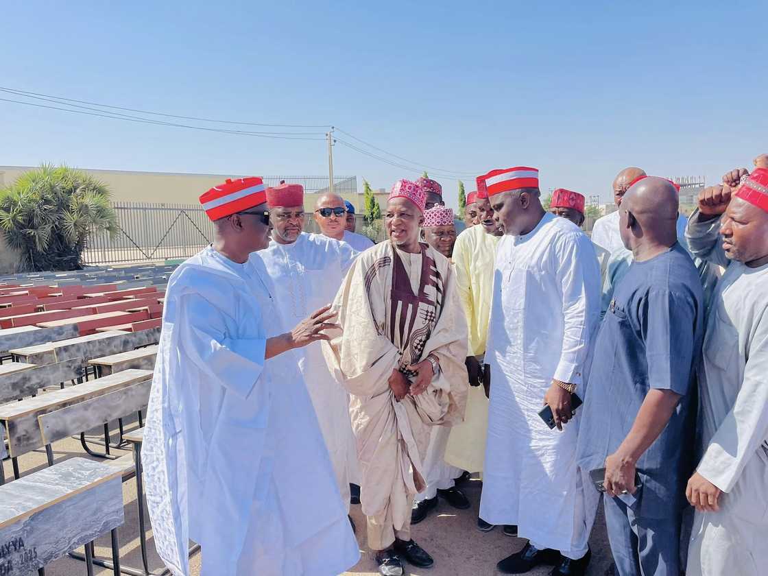 Kwankwas Kwankwas