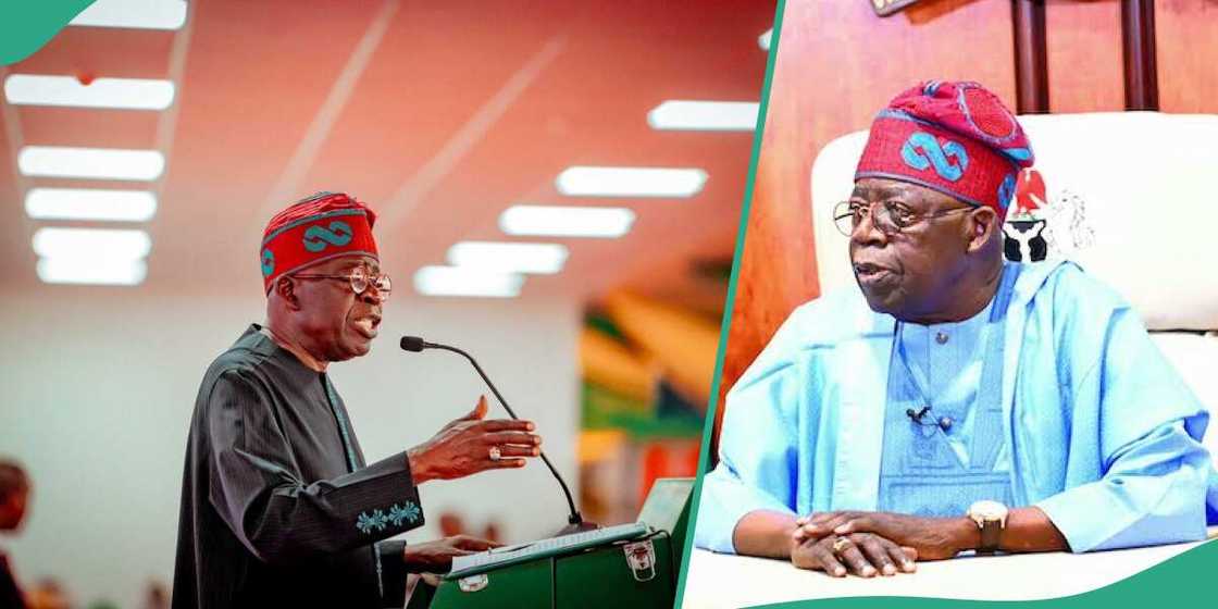 President Bola Tinubu has revealed the reason why no one was punish for the shutting down of the national grid during the NLC and TUC protest on national minimum wage on January 3. President Bola Tinubu has revealed the reason why no one was punish for the shutting down of the national grid during the NLC and TUC protest on national minimum wage on January 3.