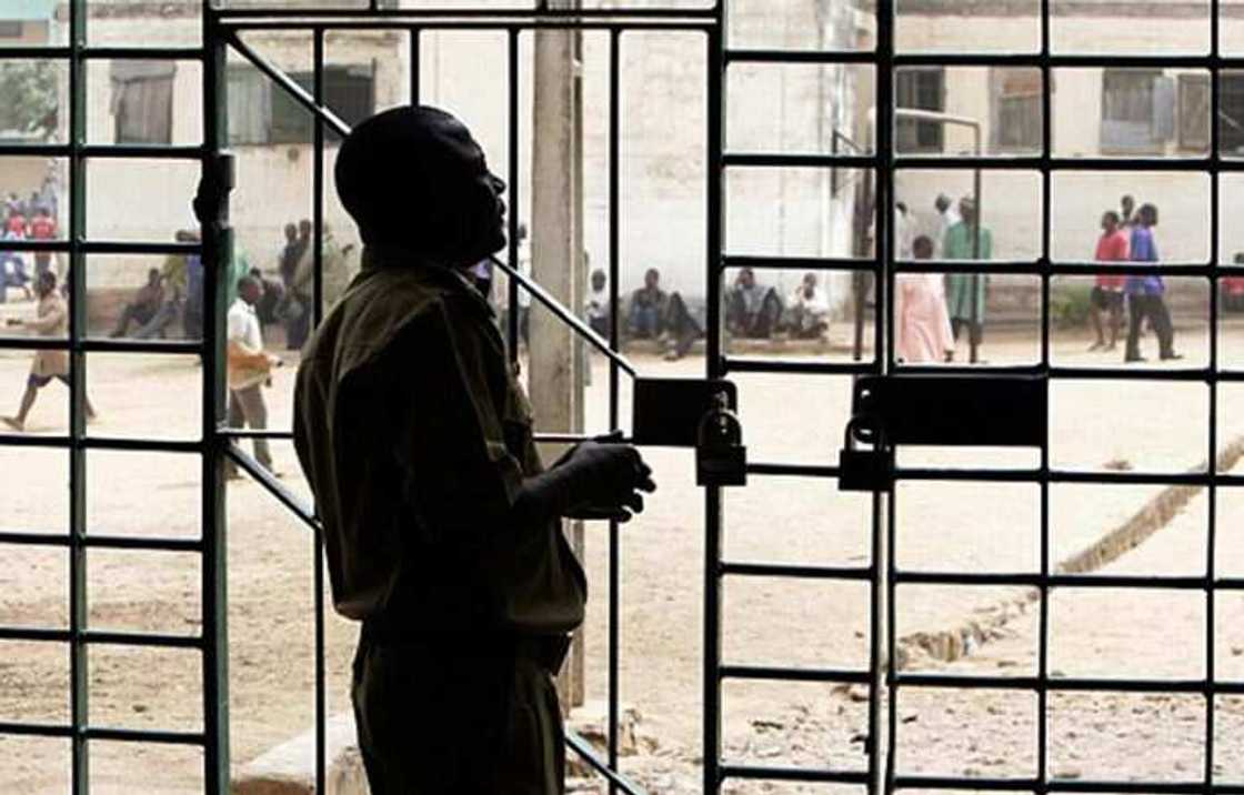 Annobar Coronavirus: Yan bursuna sun yi bore a Delta, 2 sun tsere, an bindige guda 5 Annobar Coronavirus: Yan bursuna sun yi bore a Delta, 2 sun tsere, an bindige guda 5