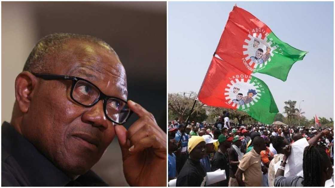 Peter Obi/Labour Party supporters/INEC's IREV Portal/19 States/2023 Presidential Election Peter Obi/Labour Party supporters/INEC's IREV Portal/19 States/2023 Presidential Election