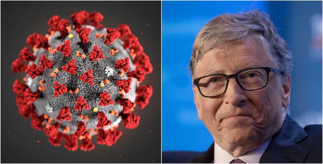 A collage showing Gates and a pictorial depiction of the virus. Photos sources: Techcrunch/New Scientist A collage showing Gates and a pictorial depiction of the virus. Photos sources: Techcrunch/New Scientist