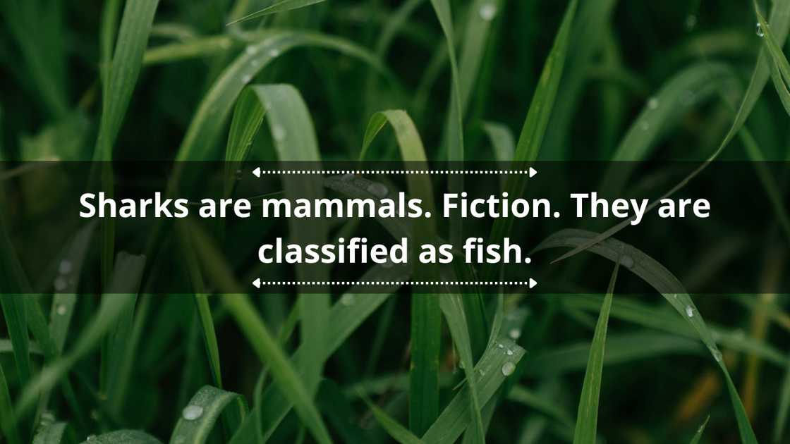 Scientific fact or fiction questions Scientific fact or fiction questions