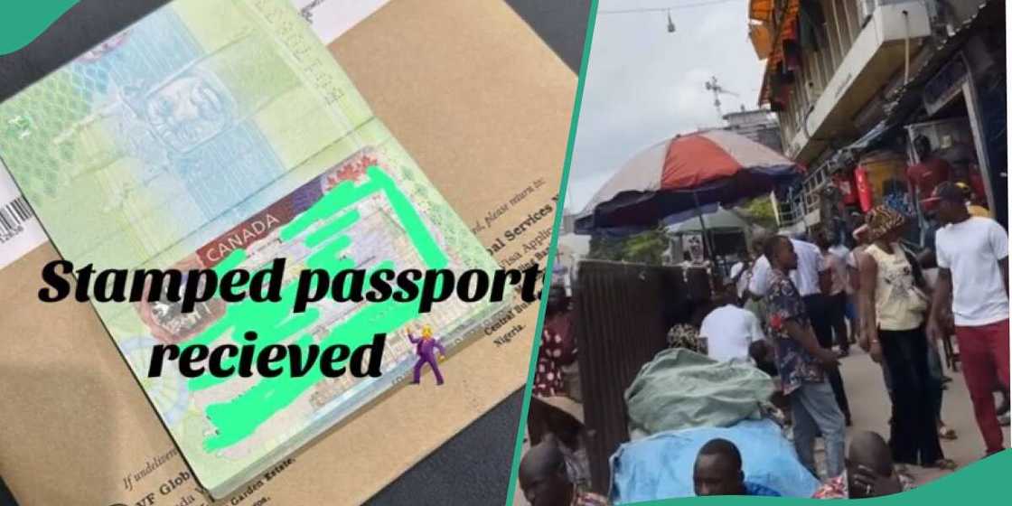 Photo of the family's stamped passport Photo of the family's stamped passport