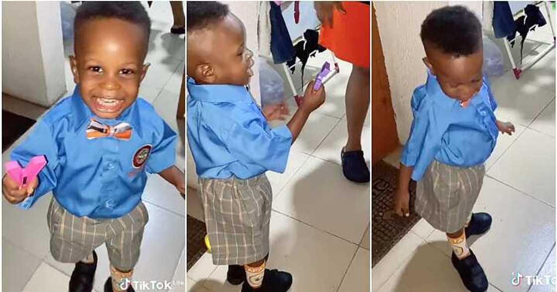 Brilliant boy, 2-year-old, intelligence Brilliant boy, 2-year-old, intelligence
