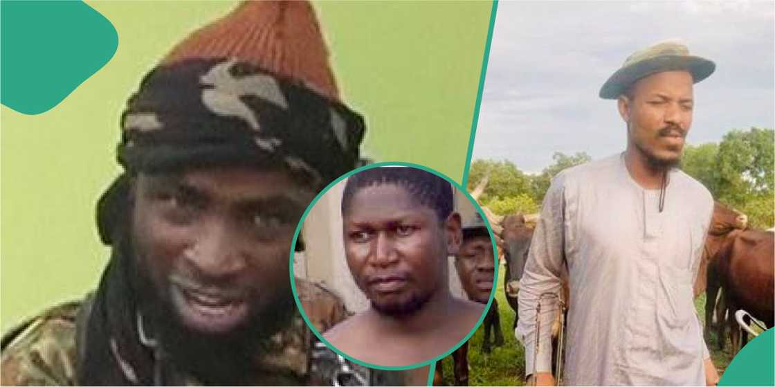 Yan ta'adda Yan ta'adda