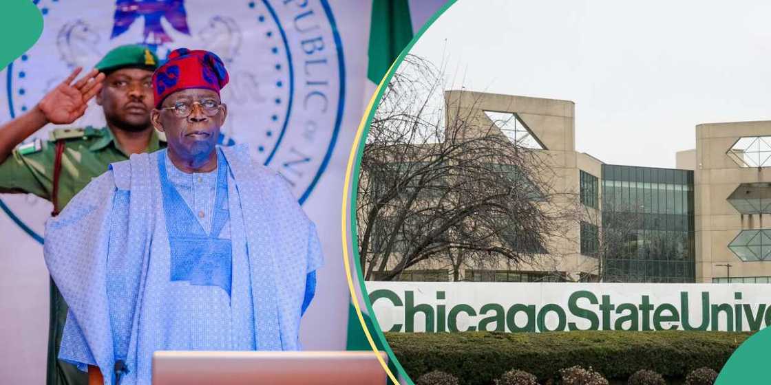 Tinubu, CSU, Atiku, Court, Academic records Tinubu, CSU, Atiku, Court, Academic records