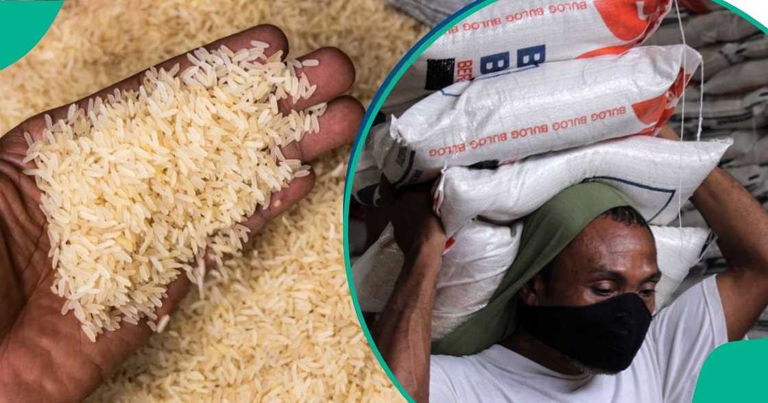 Dealers report a considerable crash in rice price