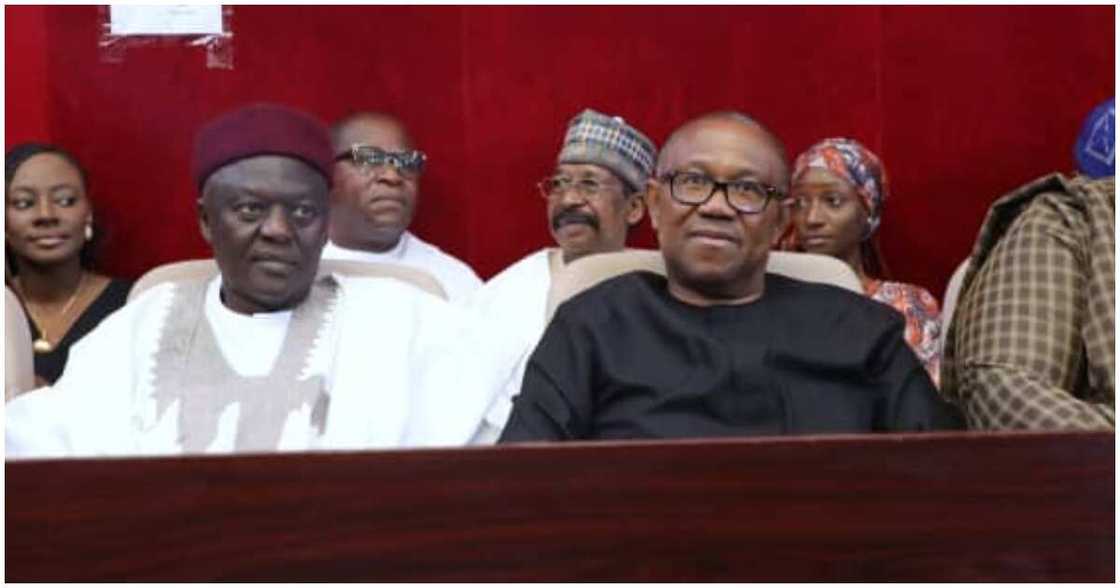 Peter Obi/Peter Obi news/Peter Obi news today Peter Obi/Peter Obi news/Peter Obi news today