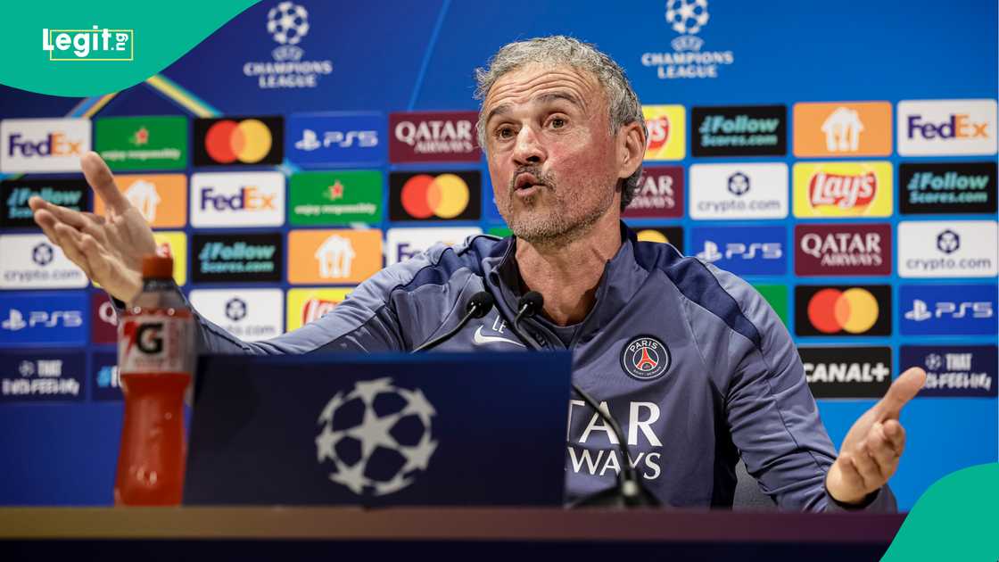 Luis Enrique, Bayern Munich, Paris Saint-Germain, UEFA Champions League, Parc des Princes.