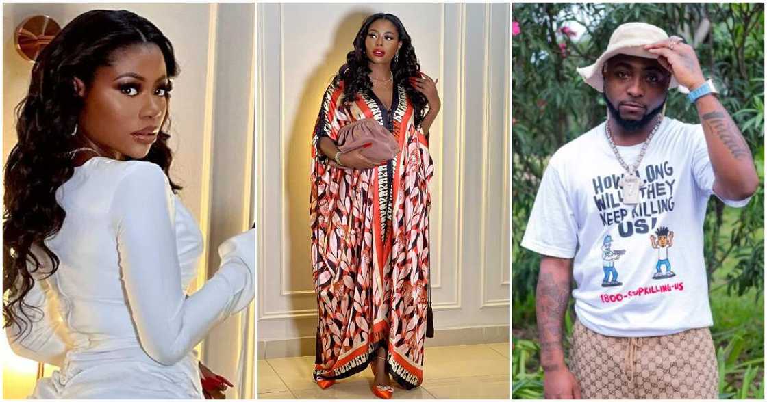 Sophia Momodu, Davido Sophia Momodu, Davido