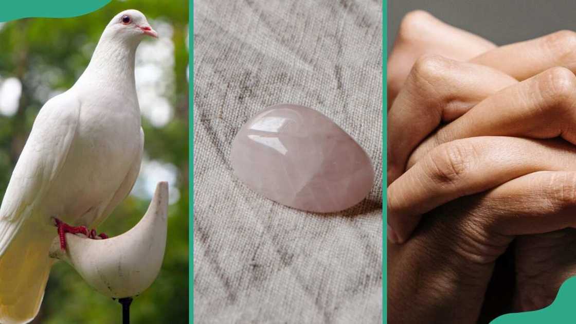 A dove (L), rose quartz (C), and clasped hand (L) A dove (L), rose quartz (C), and clasped hand (L)
