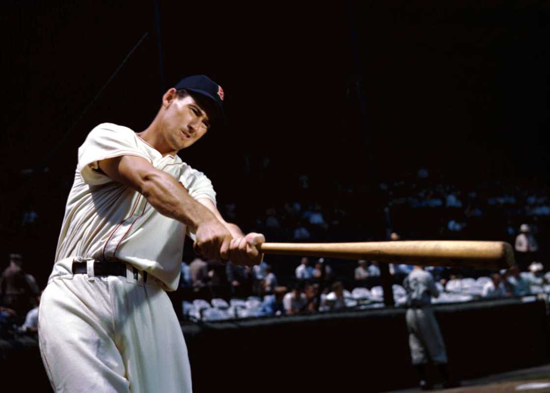Outfielder Ted Williams of the Boston Red Sox poses for an action portrait Outfielder Ted Williams of the Boston Red Sox poses for an action portrait
