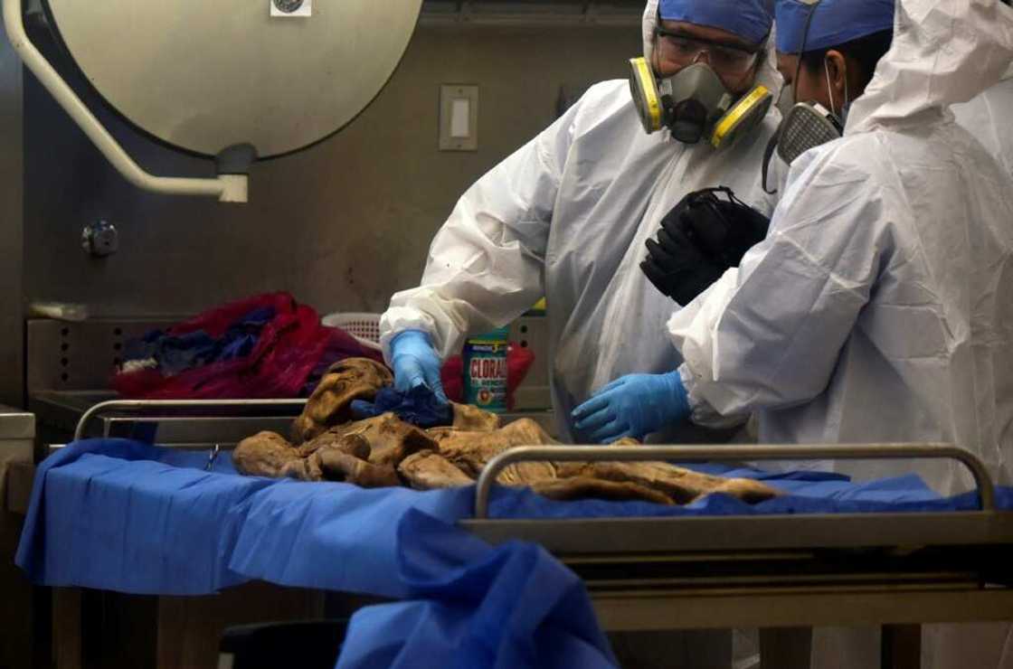 Forensic workers take samples from a human skeleton for DNA studies in southern Mexico Forensic workers take samples from a human skeleton for DNA studies in southern Mexico
