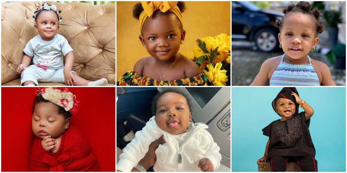 Celebrity kids. Celebrity kids.