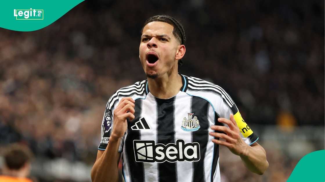 Newcastle United, William Osula, Super Eagles, Eric Chelle, Football, Africa. Newcastle United, William Osula, Super Eagles, Eric Chelle, Football, Africa.