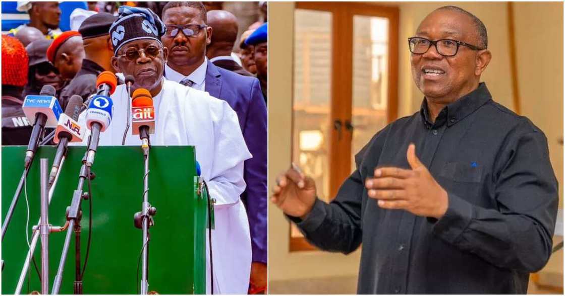 Peter Obi, APC, Labour Party, Bola Tinubu