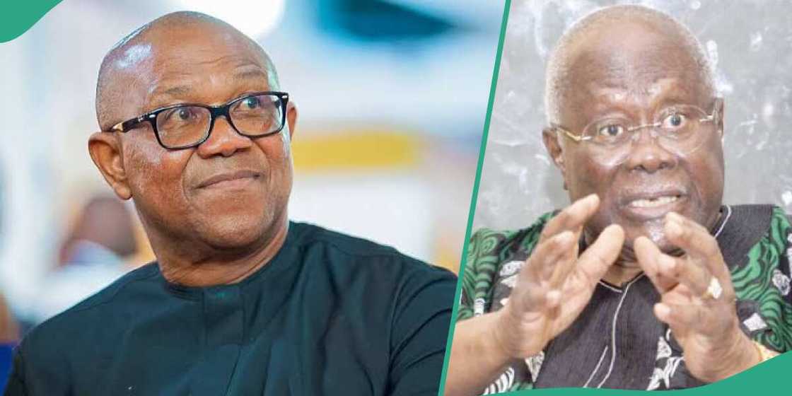 Peter Obi, Bode George, PDP, LP, 2023 poll, APC Peter Obi, Bode George, PDP, LP, 2023 poll, APC