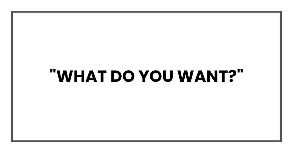 "What do you want?" "What do you want?"