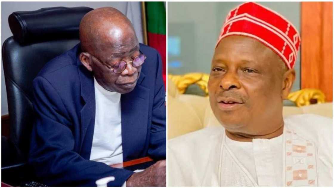 Bola Tinubu/Rabiu Kwankwaso/Kashim Shettima/APC,NNPP/2023elections/Borno Bola Tinubu/Rabiu Kwankwaso/Kashim Shettima/APC,NNPP/2023elections/Borno