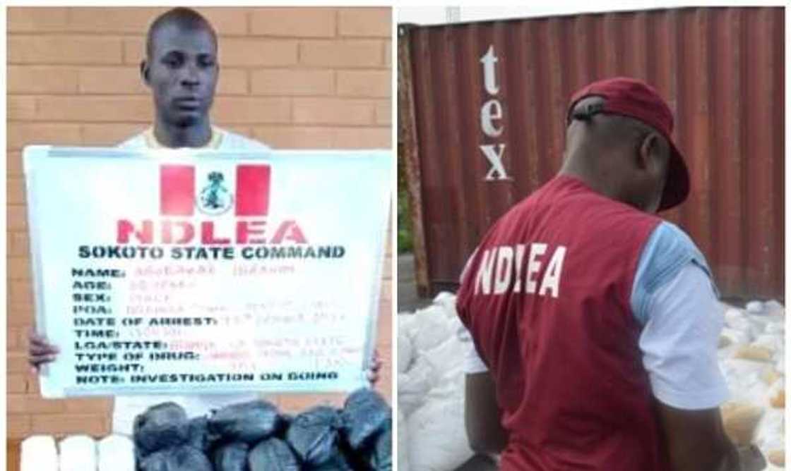 Jami'an NDLEA Jami'an NDLEA