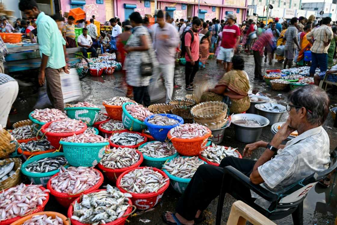 Seafood exporters, who have been told by some US buyers to hold shipments, are hoping for new customers Seafood exporters, who have been told by some US buyers to hold shipments, are hoping for new customers