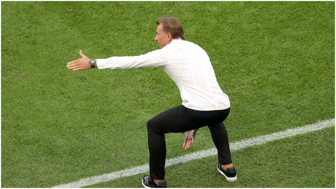 Herve Renard gesticulating during Saudi Arabia's 2-1 win over Argentina at the 2022 World Cup.