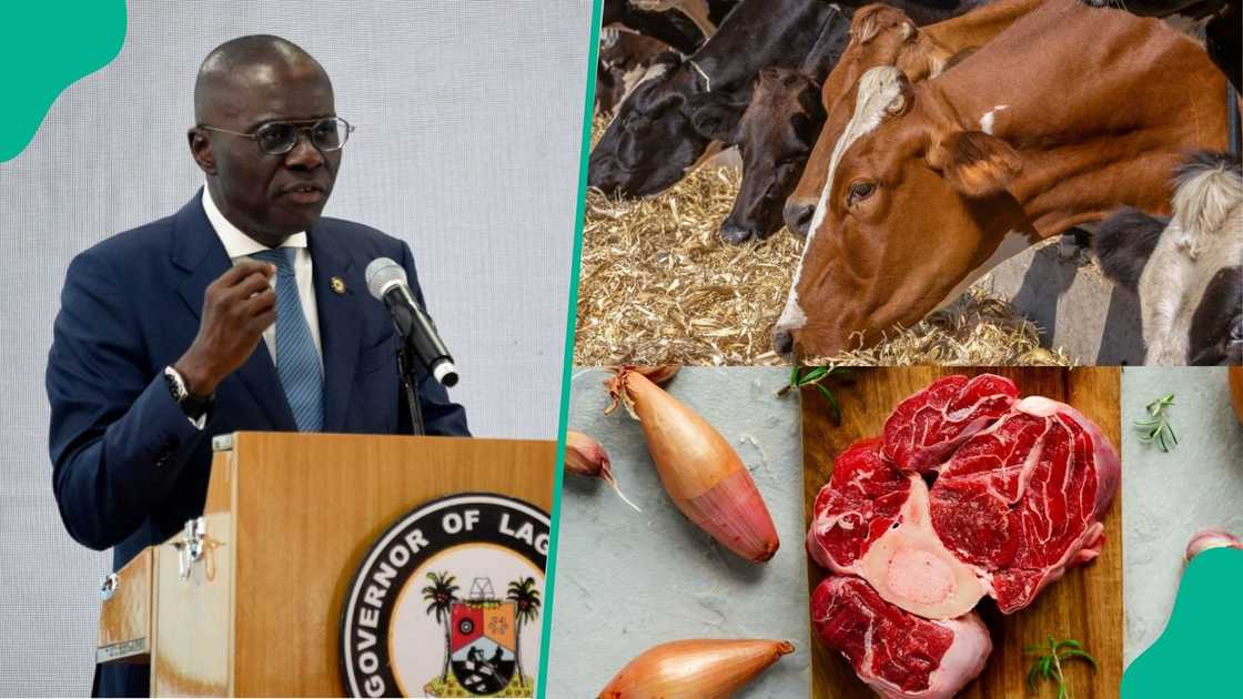 Lagos state leads the pack, spends N5 billion on red meat daily