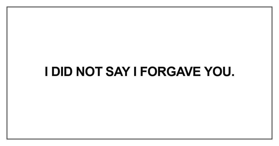 I did not say I forgave you I did not say I forgave you