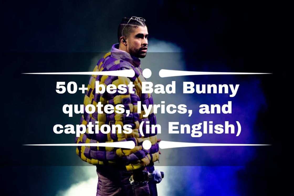 Bad Bunny quotes