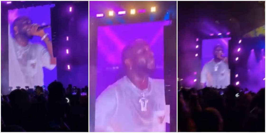 Davido, female fan Davido, female fan