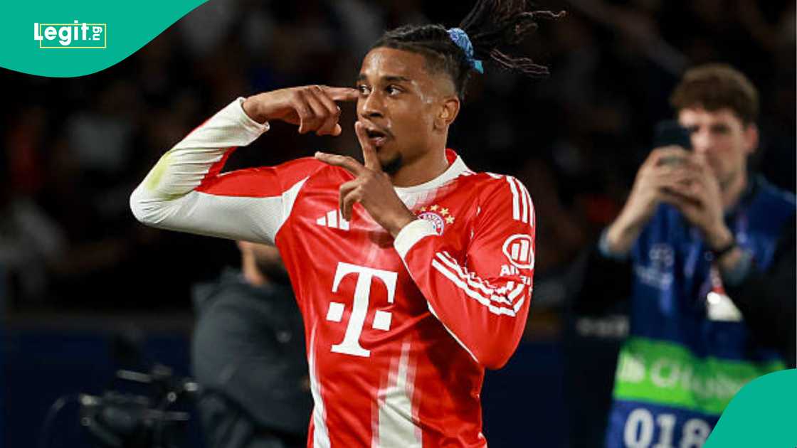 Michael Olise, France, Bayern Munich, Nigeria, Super Eagles Michael Olise, France, Bayern Munich, Nigeria, Super Eagles