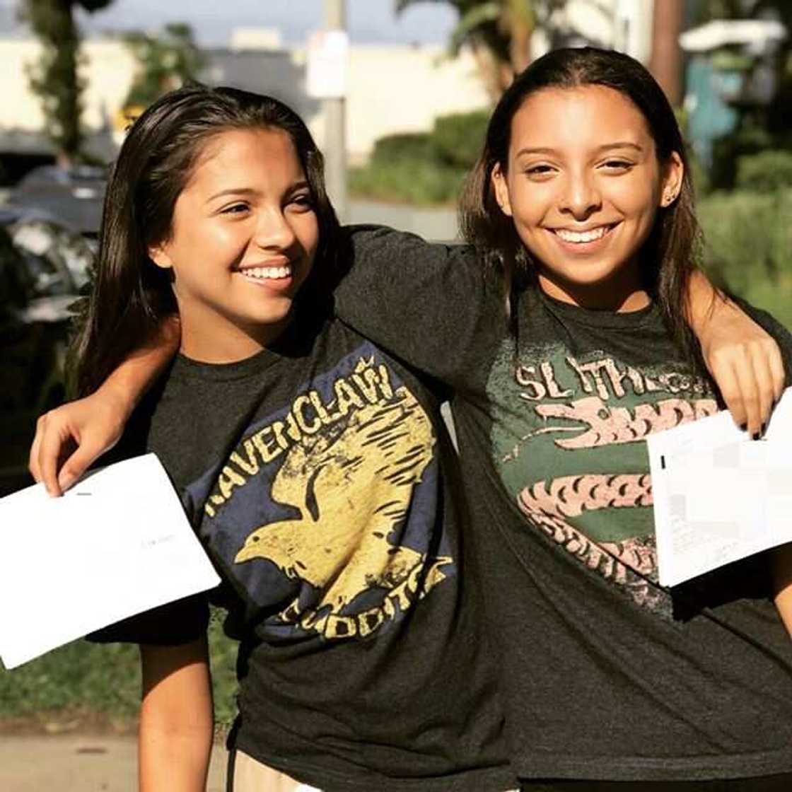 Cree Cicchino Cree Cicchino