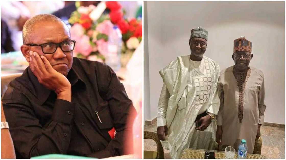 Bashir Bashir/Tinubu/Peter Obi/Labour Party Governorship Candidate in Kano Bashir Bashir/Tinubu/Peter Obi/Labour Party Governorship Candidate in Kano