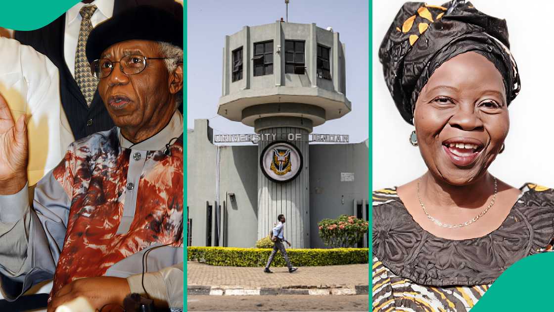 6 prominent Nigerians who finished from University of Ibadan and the courses they studied