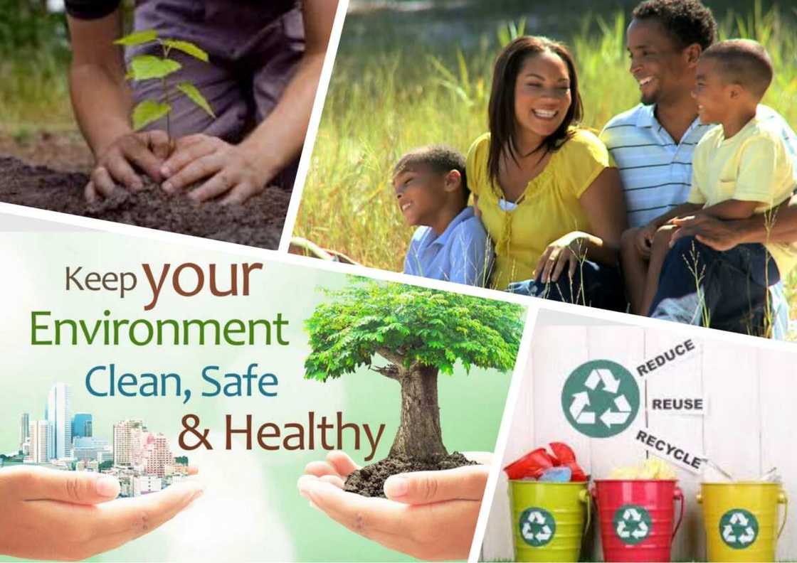 Environmental Problems and Solutions in Nigeria Environmental Problems and Solutions in Nigeria