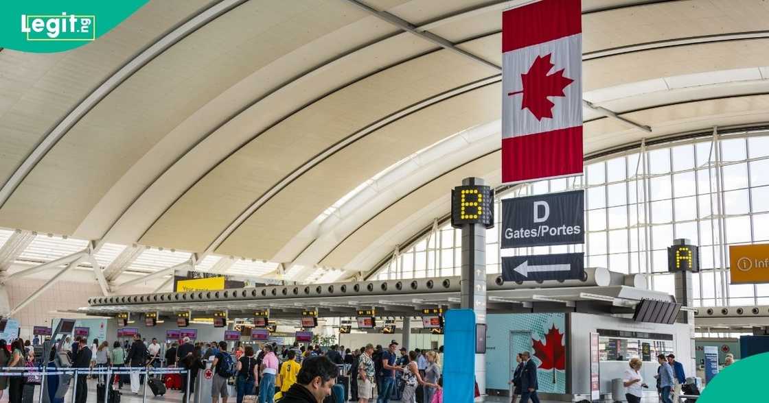 CBSA warns large cash without declaration may be seized