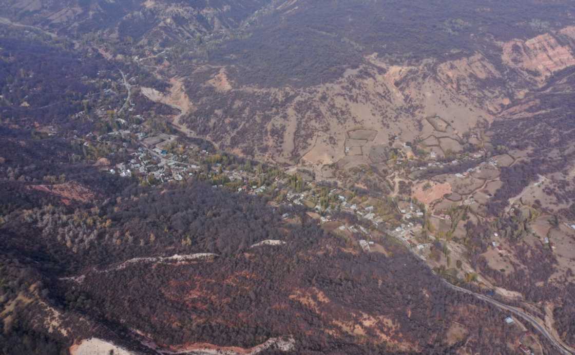 Human activity is also taking a toll on the forest Human activity is also taking a toll on the forest