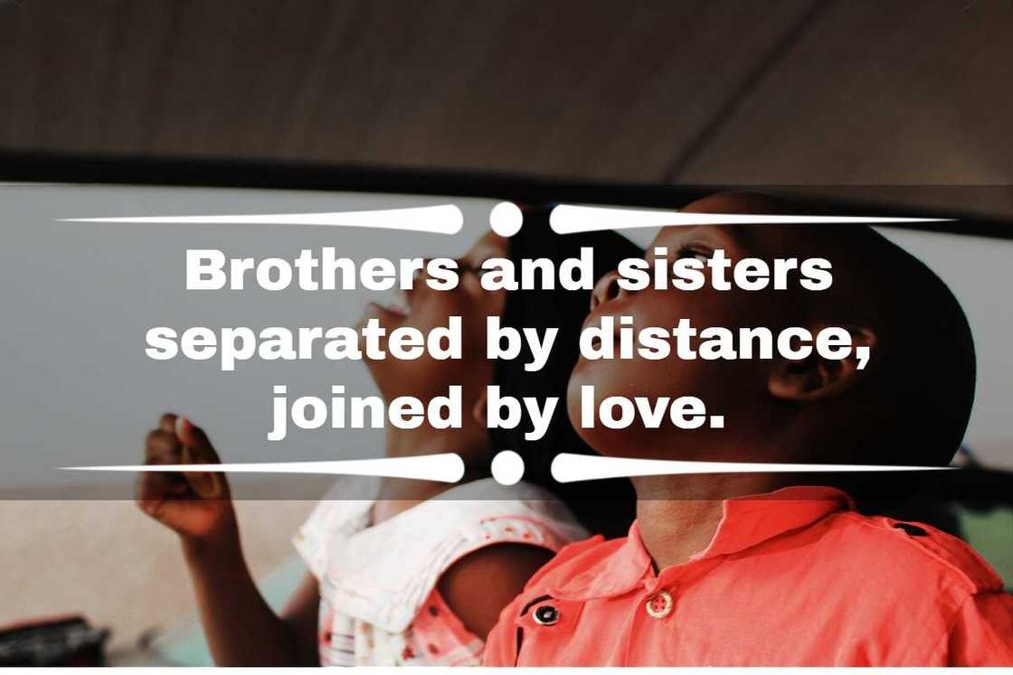 Long Distance Siblings Long Distance Siblings Quotes