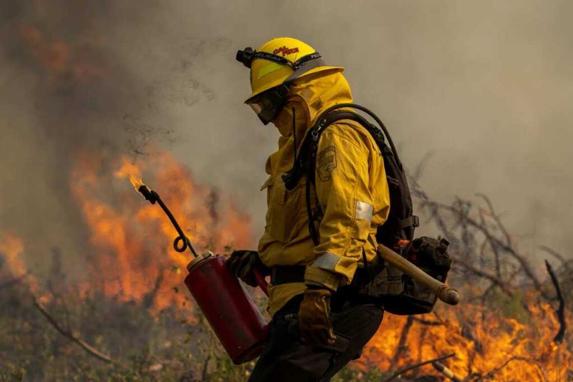 A firefighter uses a drip torch to light a backfire at the Oak Fire near Mariposa, California A firefighter uses a drip torch to light a backfire at the Oak Fire near Mariposa, California