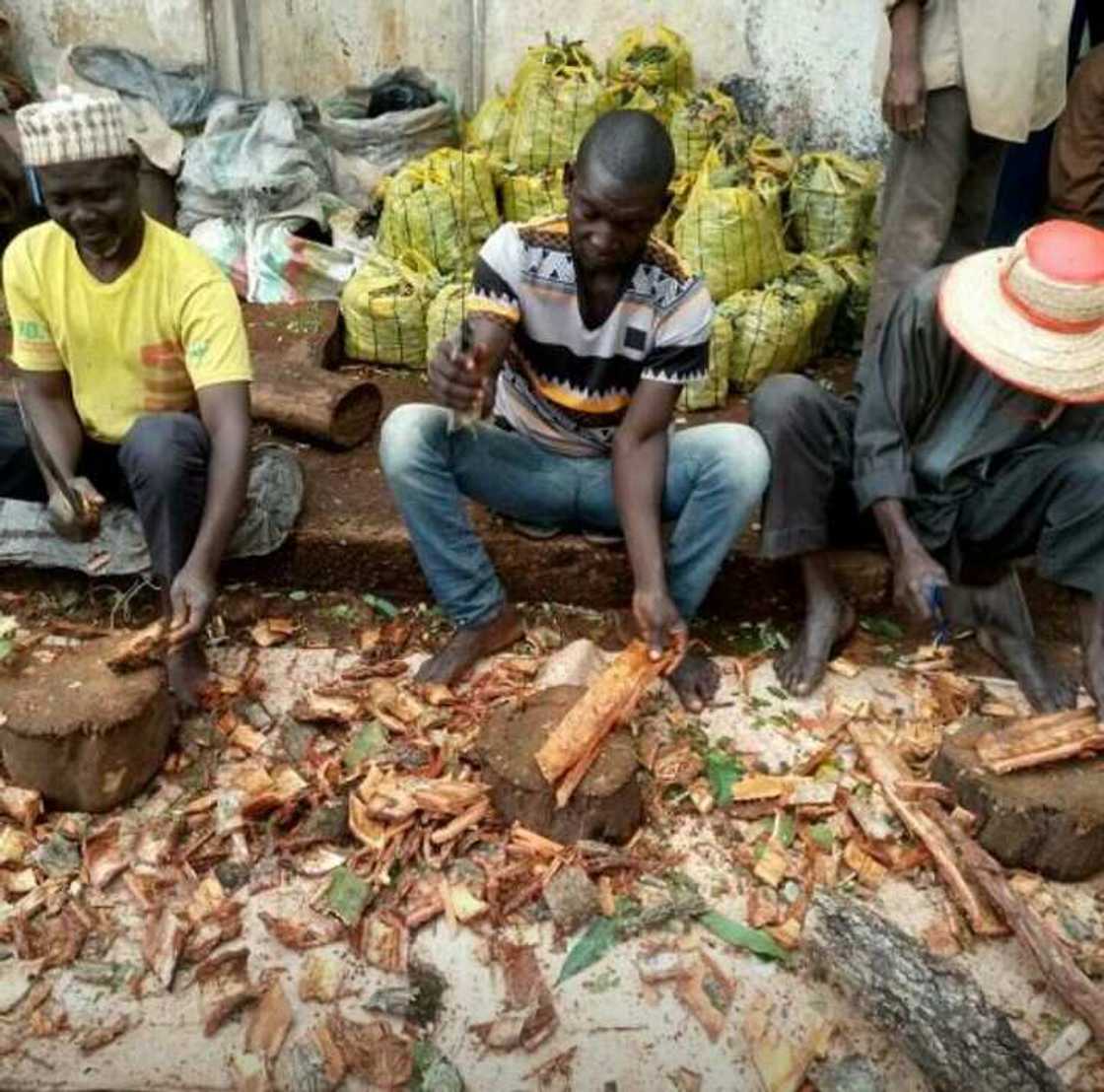 Hukumar NAFDAC ta fara binciken maganin gargajiya don magance Korona Hukumar NAFDAC ta fara binciken maganin gargajiya don magance Korona