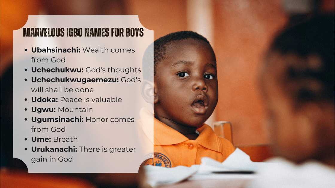 Igbo names for boys