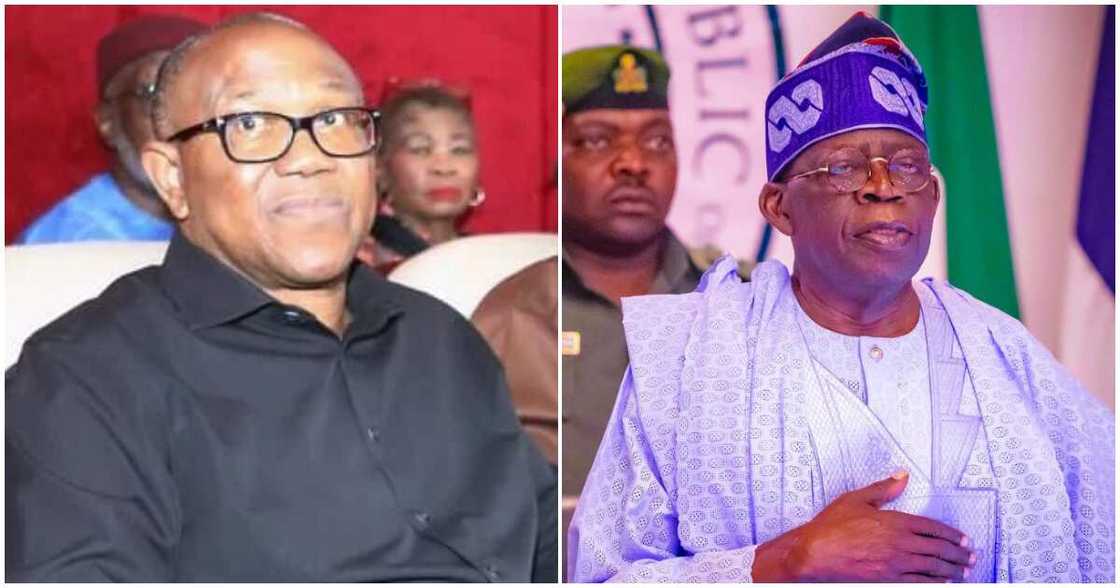 Tinubu's victory/ Obi against Tinubu/Obi in court/ Labour Party faction/ Election tribunal