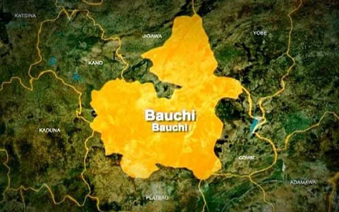 Taswirar jahar Bauchi.