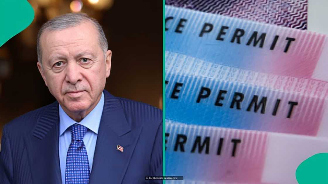 Türkiye confirms 10 countries whose citizens qualify for free residence permits