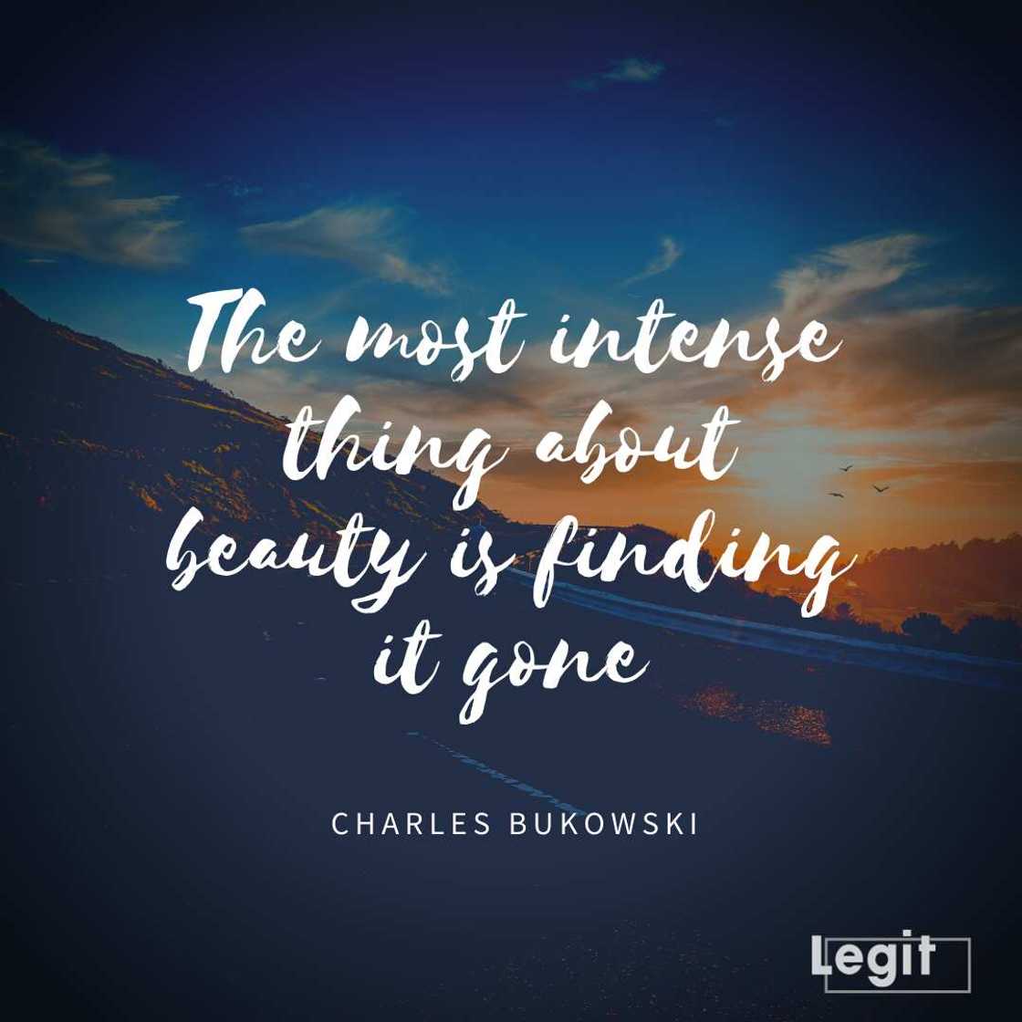 Charles Bukowski quote Charles Bukowski quote