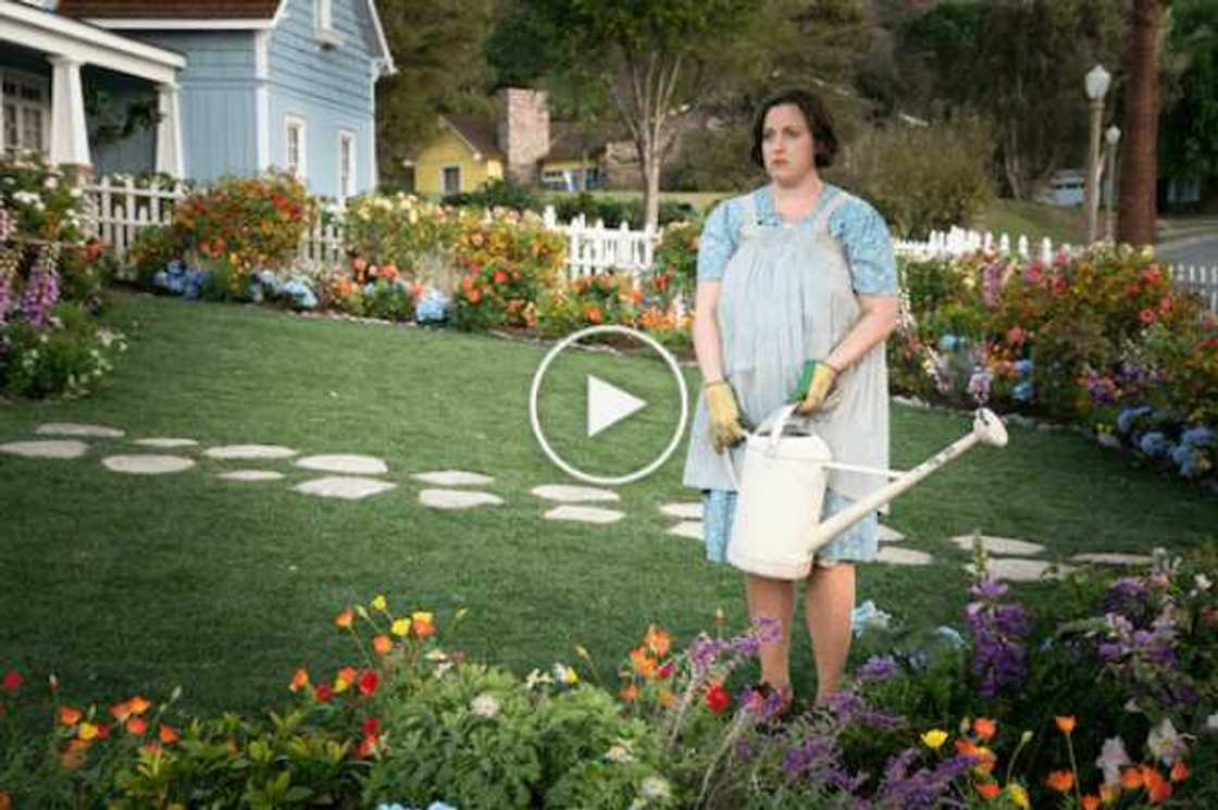 From Insecure to Gossip Girl, All the Best International Series on Showmax in December & January From Insecure to Gossip Girl, All the Best International Series on Showmax in December & January