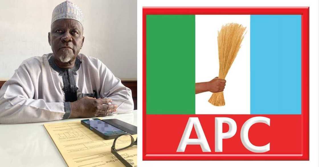 adamawa news adamawa news