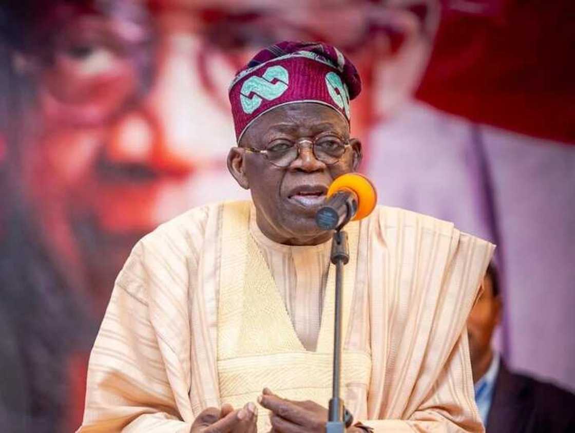 Bola Tinubu