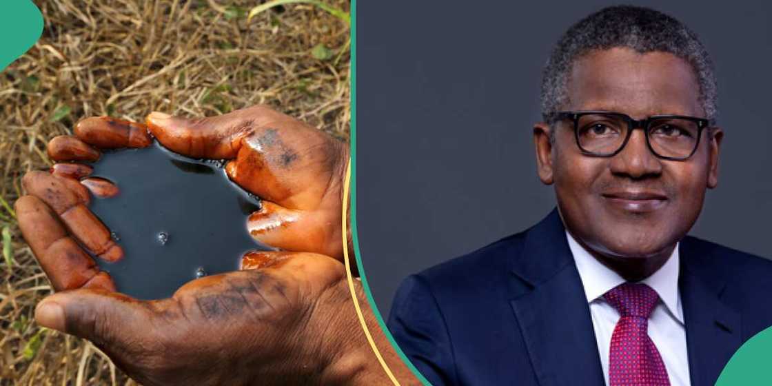 Petroleum workers in Nigeria send message to federal government over Dangote Refinery Petroleum workers in Nigeria send message to federal government over Dangote Refinery